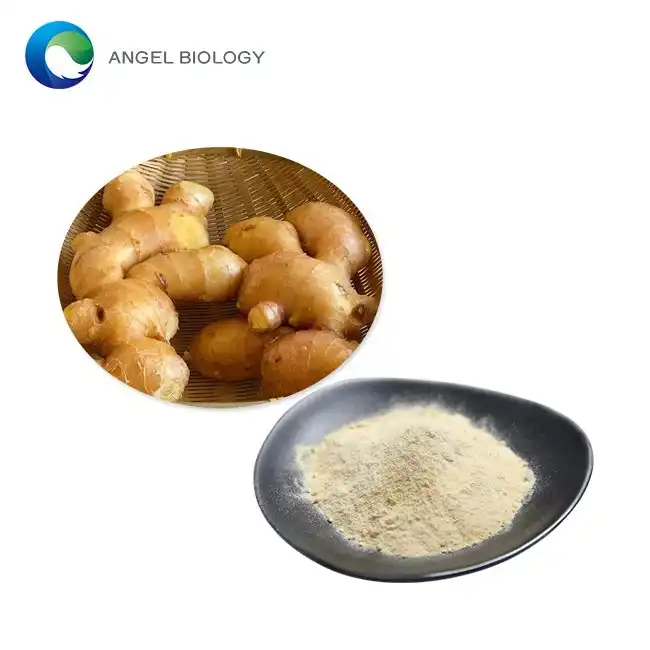 How to Choose High-Quality Ginger Extract Powder